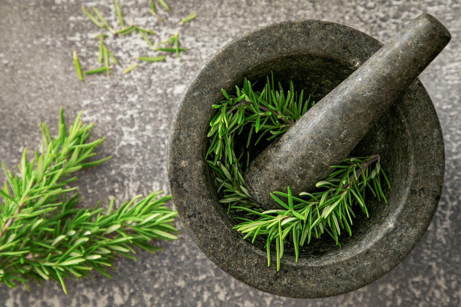 The Ancient Herb That Sharpens Your Mind