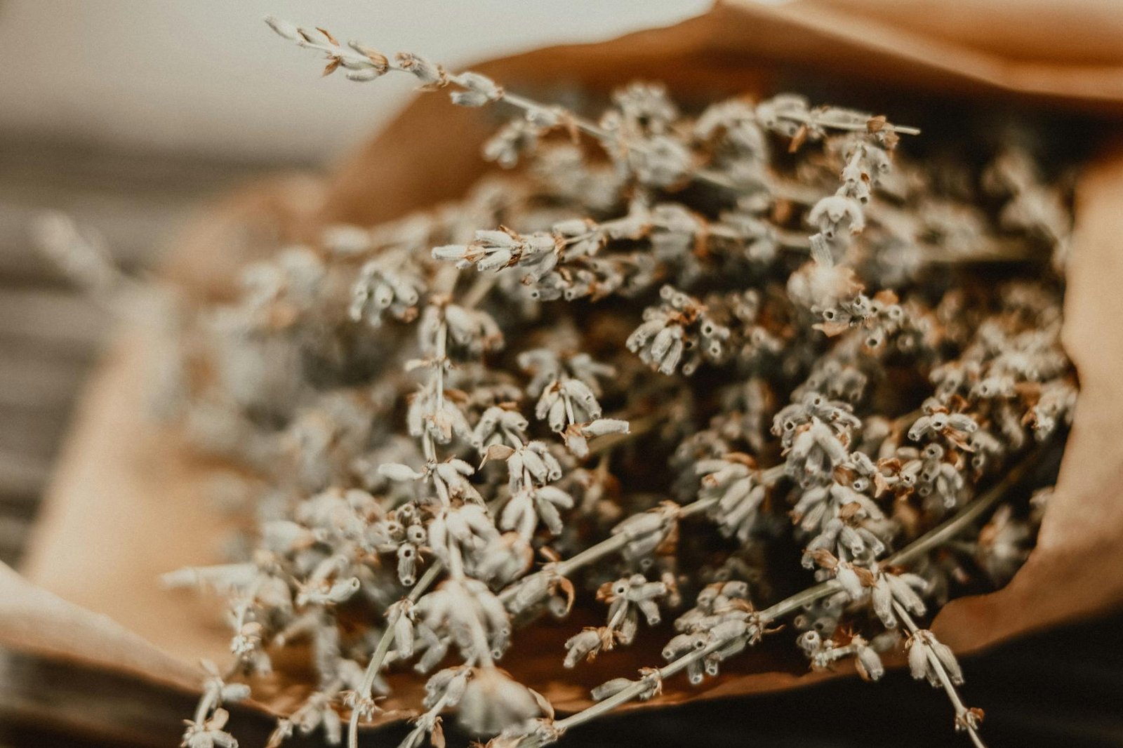 Lavenders Timeless Power for Complete Human Wellness