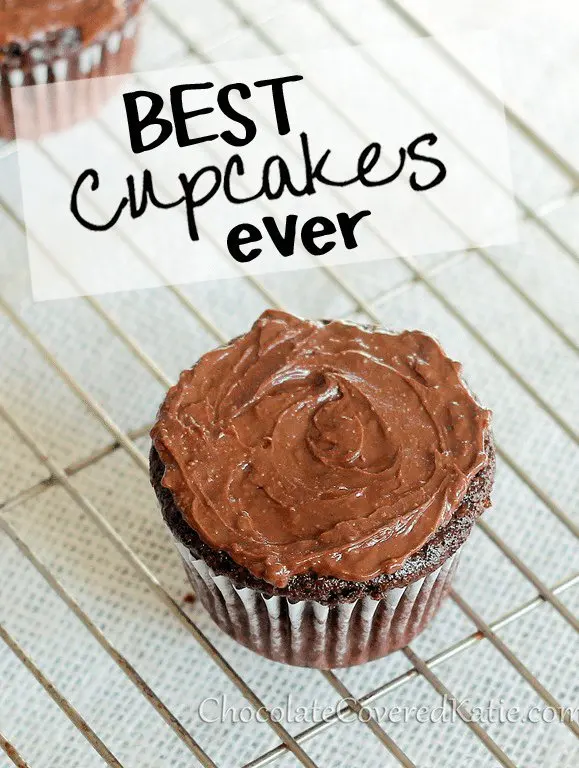 20 Best Cupcake Recipes (Tested and Perfected)